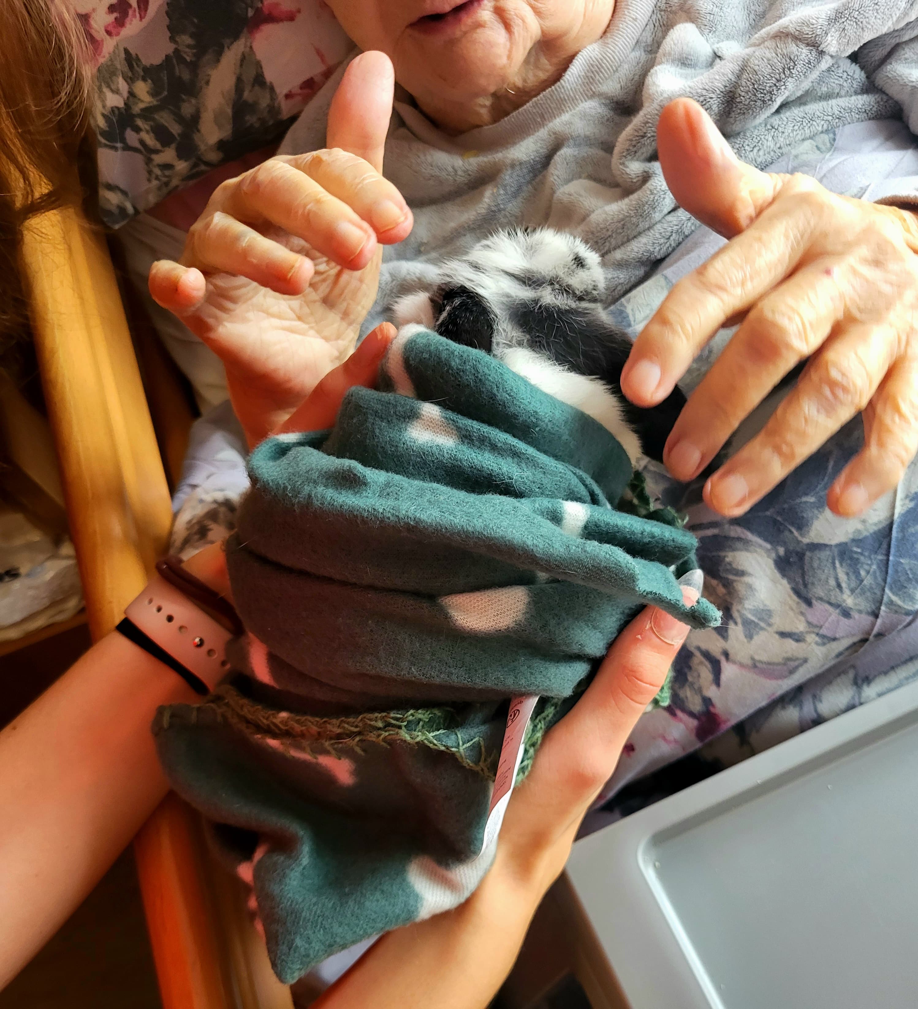 podgląd